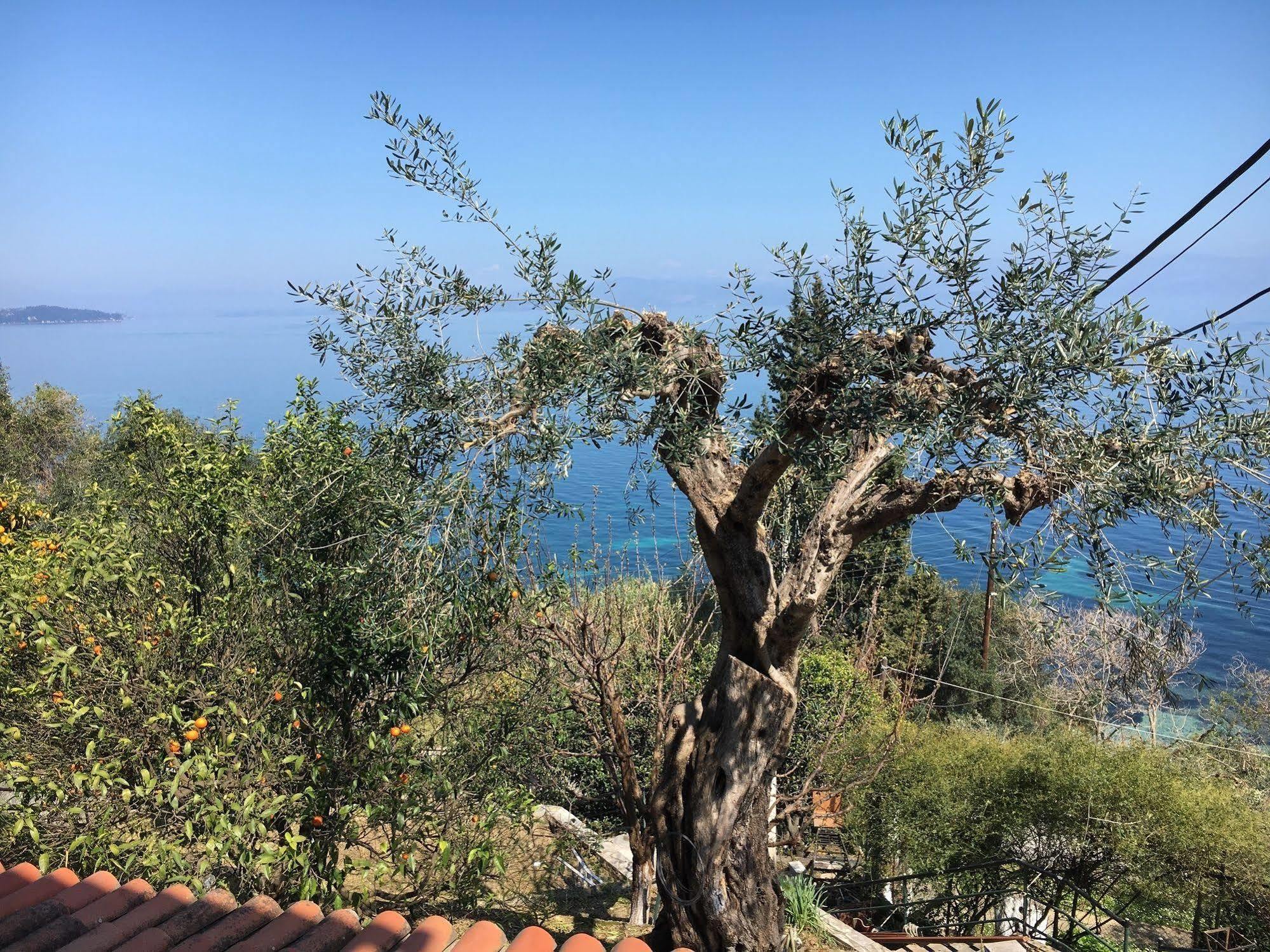 فندق Casa Dei Venti بينيتسيس المظهر الخارجي الصورة